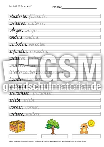 DSS_2S_Bu_er_Nr_07.pdf